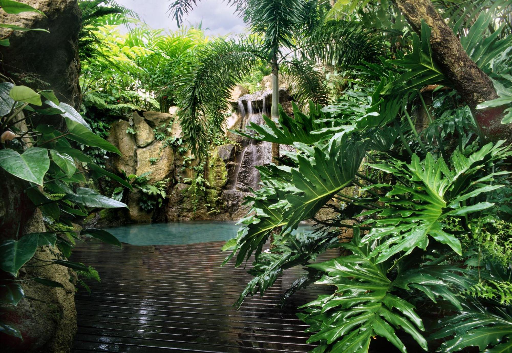 The Farm At San Benito Hotel Lipa City Екстериор снимка